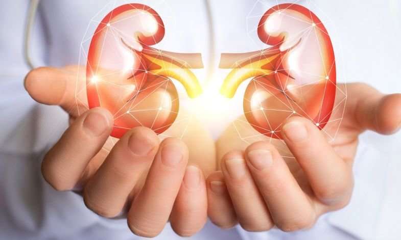 Indian Women Are As Likely To Develop Renal Problems As Men